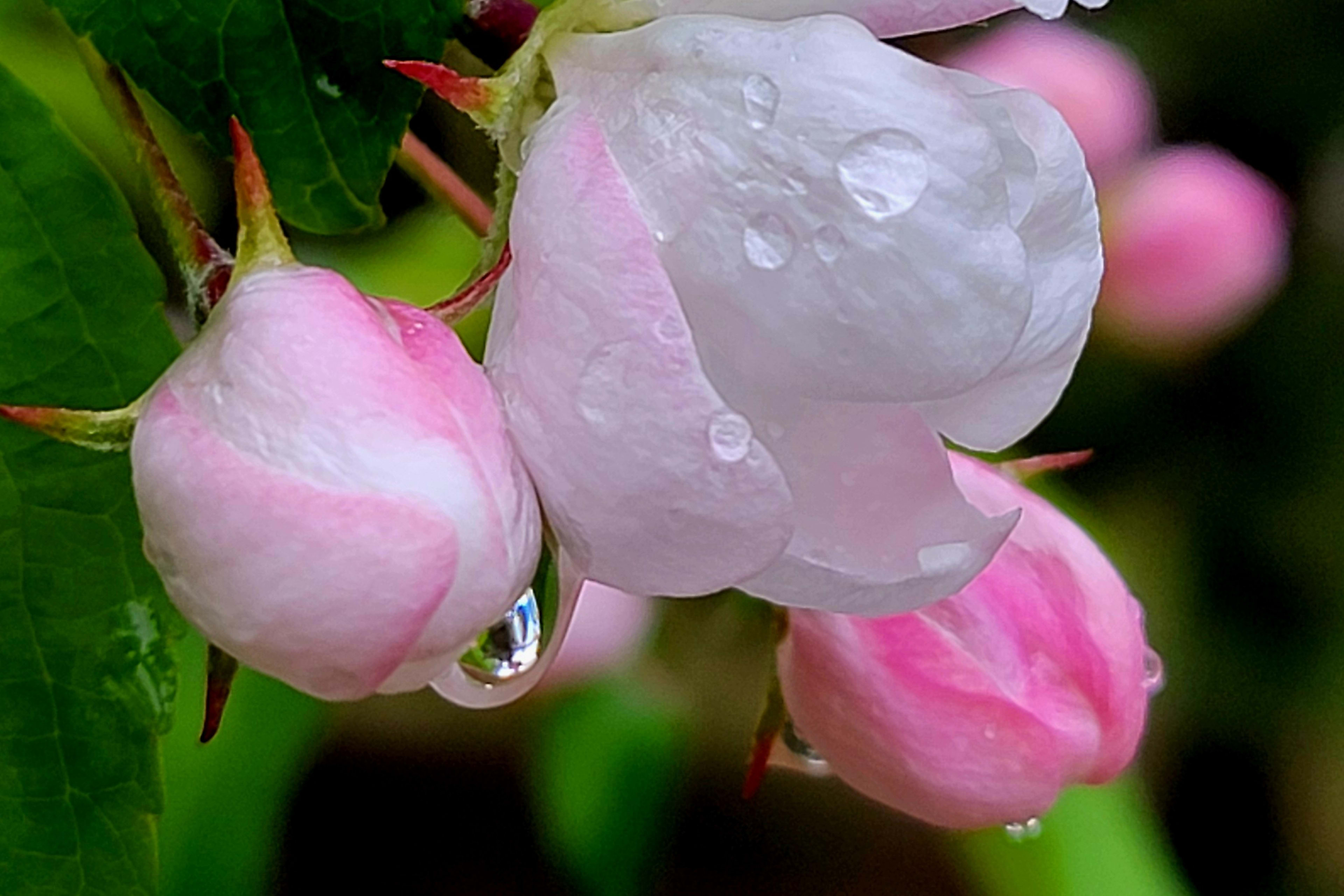 weather pic