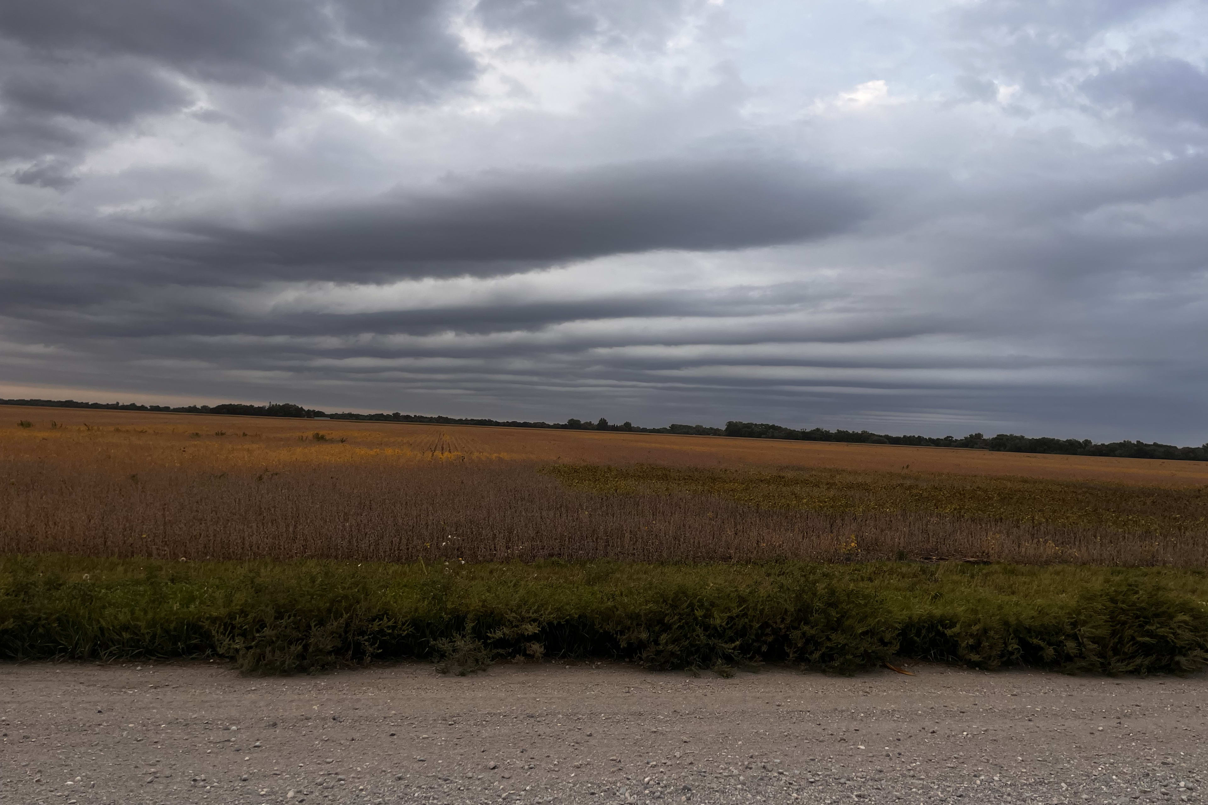 weather pic