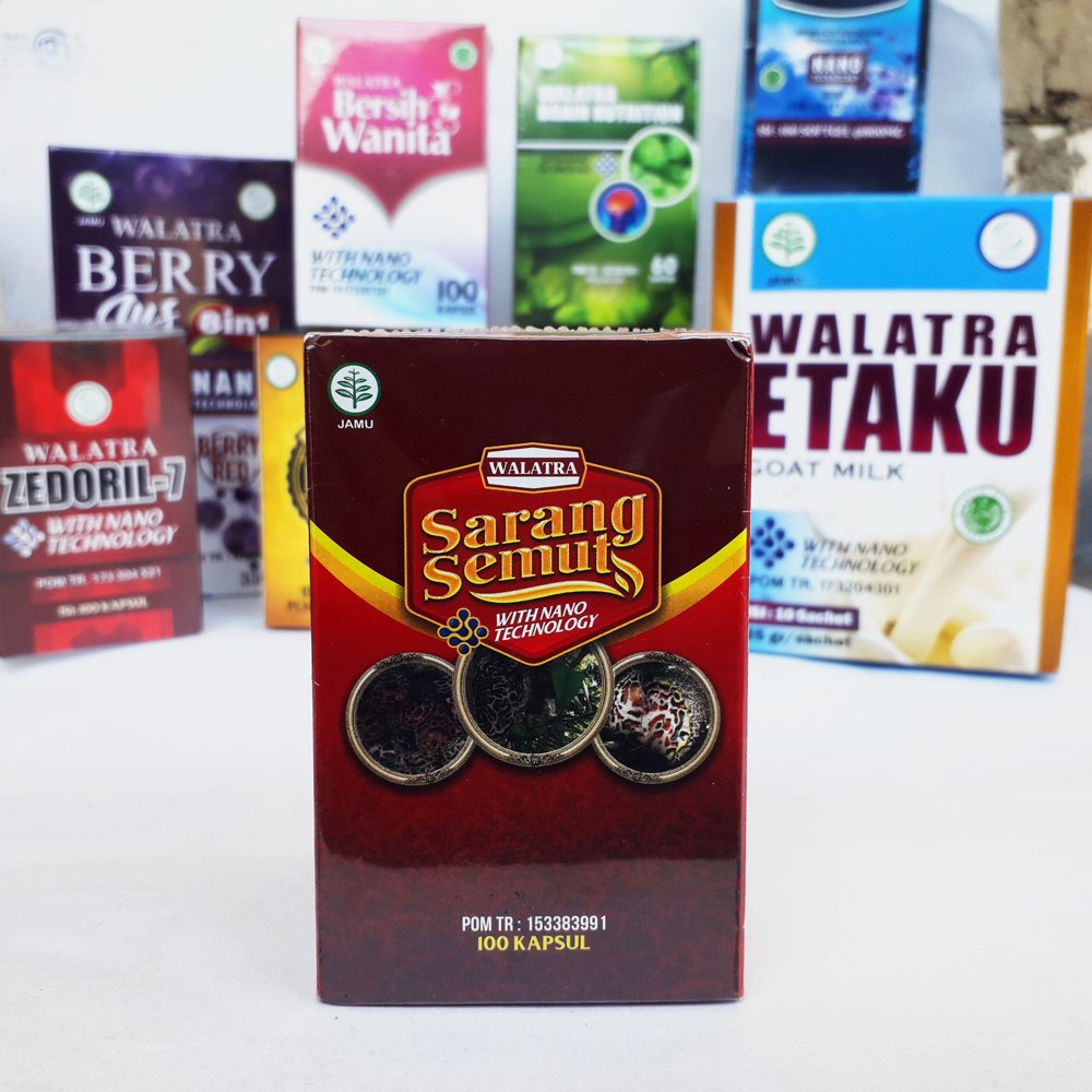 Jual Sarang Semut Papua di Pekalongan Jual Sarang Semut Papua di Pekalongan