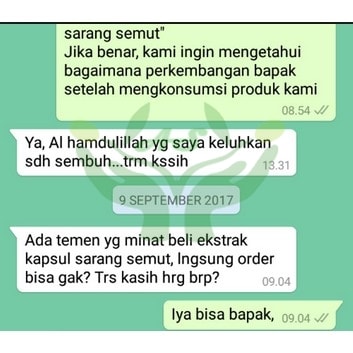 Jual Sarang Semut Papua di Kepulauan Mentawai Jual Sarang Semut Papua di Kepulauan Mentawai