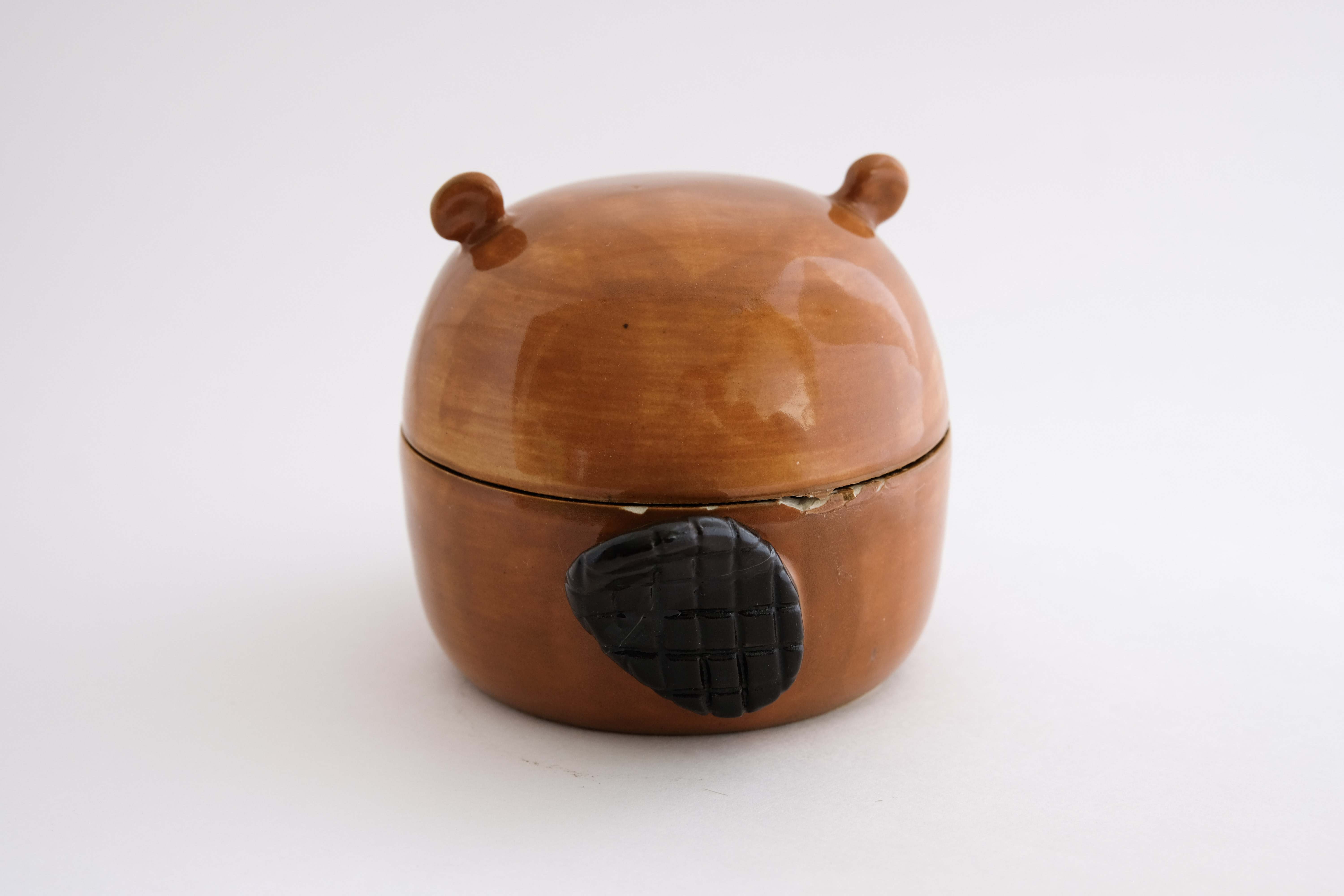 Beaver back