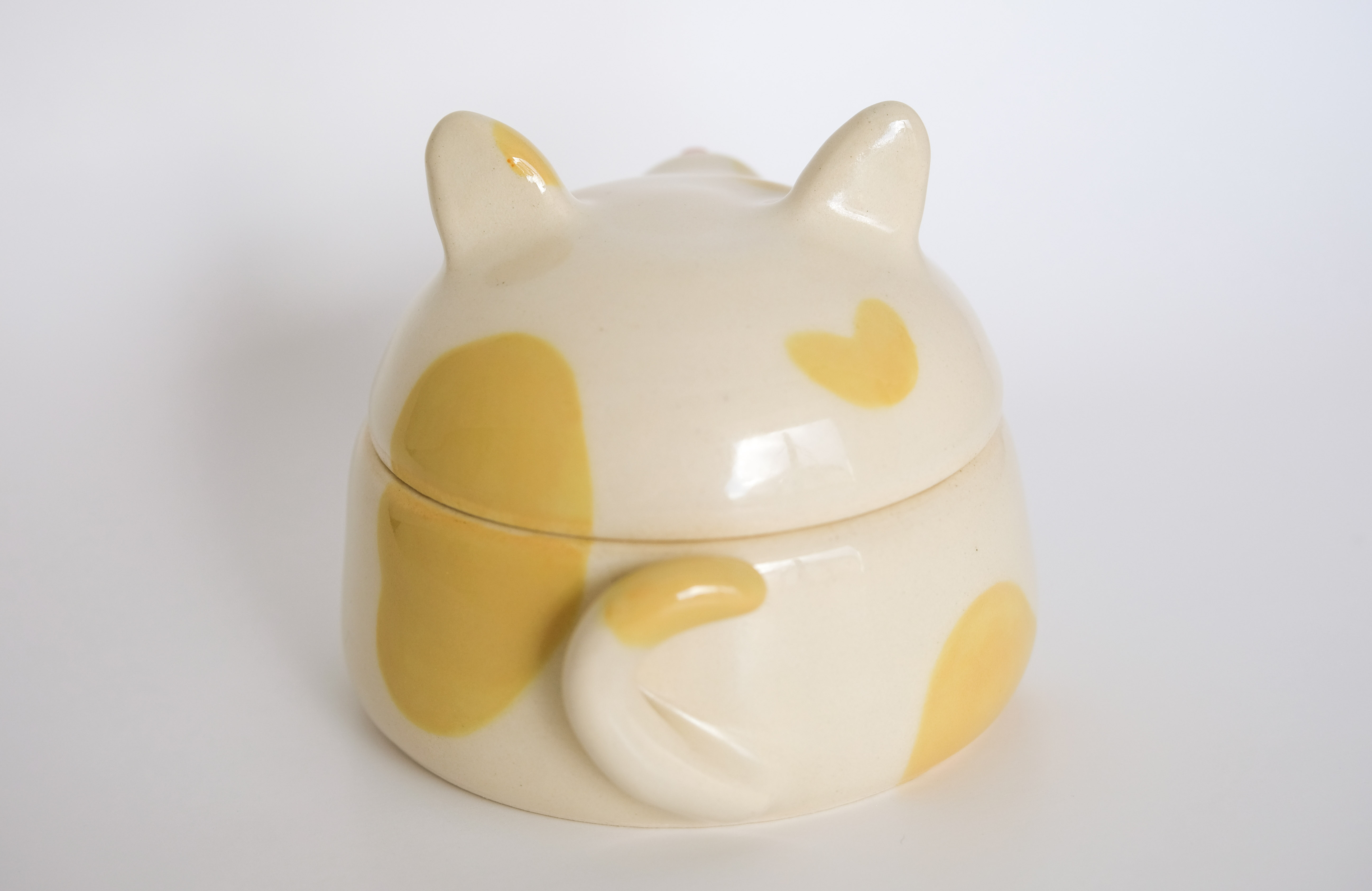 Cat jar back