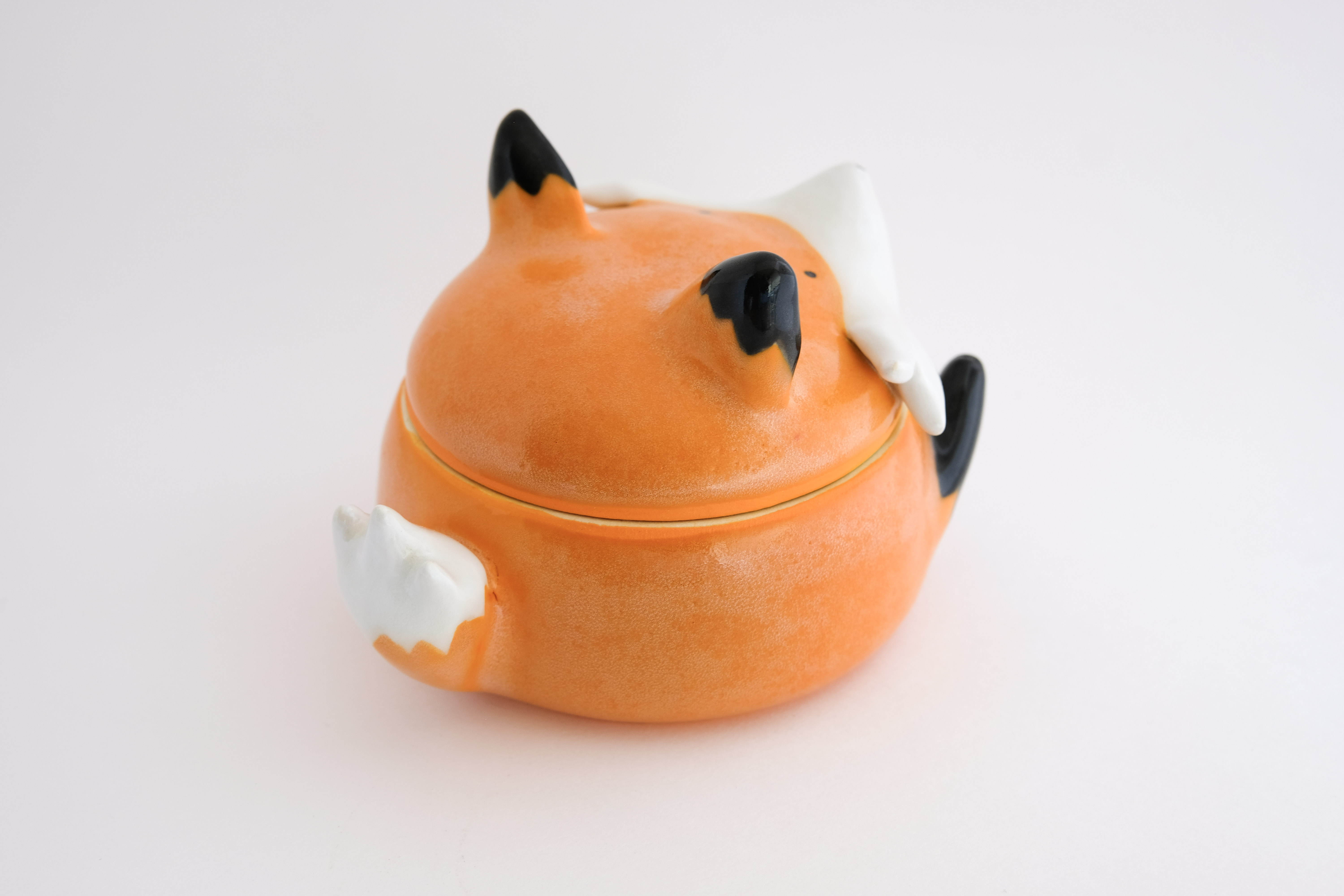 Orange fox back