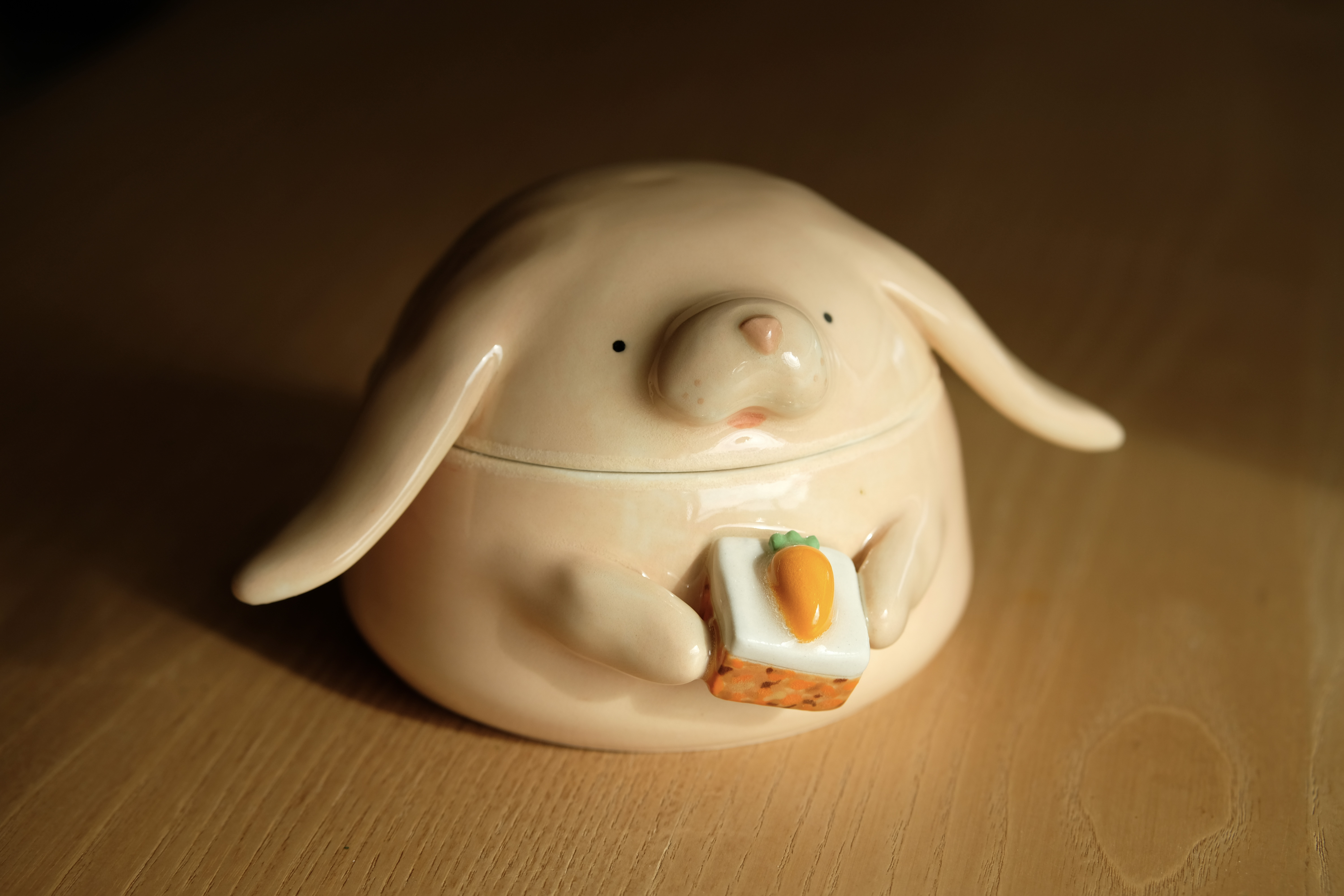 Bunny with carrot cake shadowed