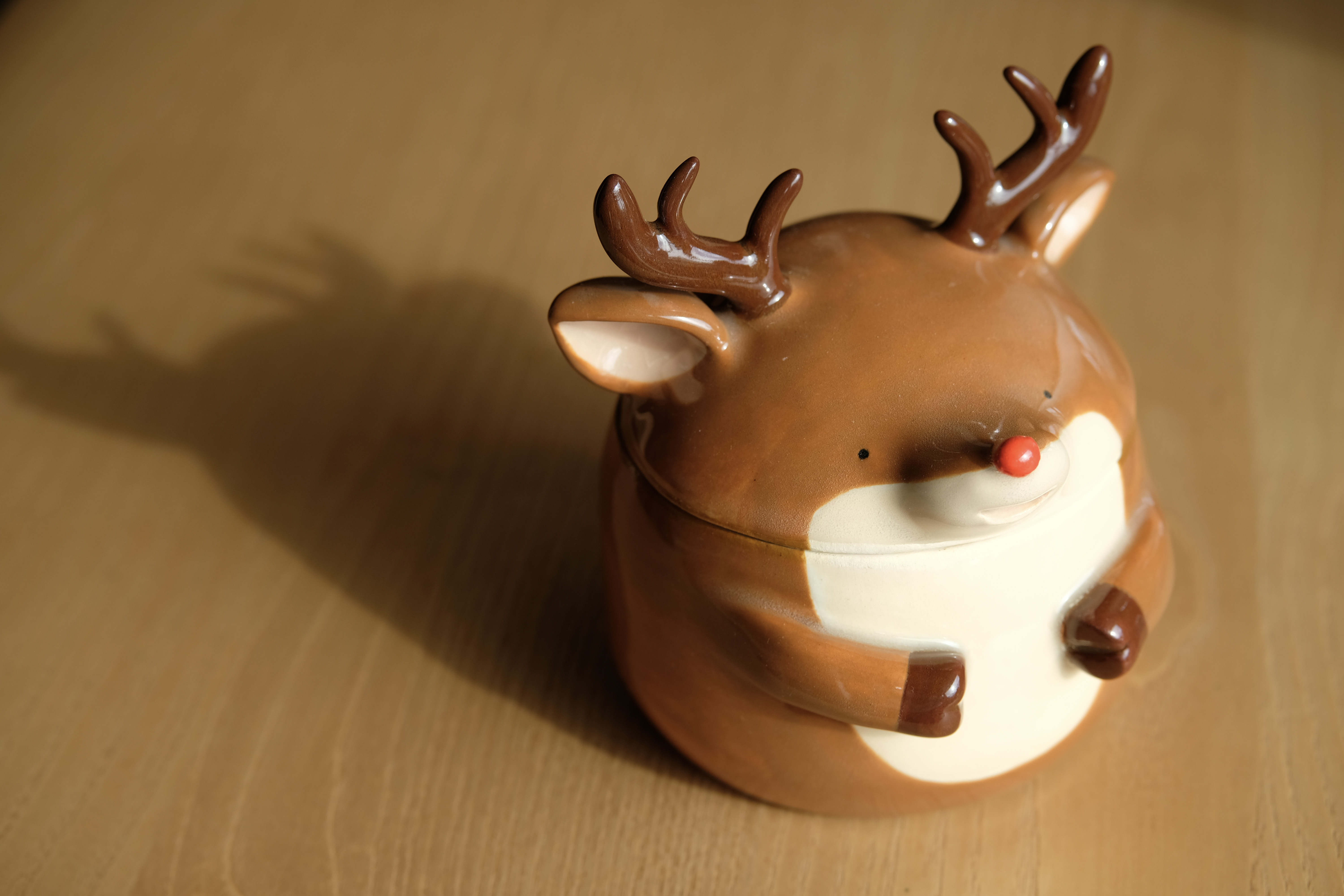 Reindeer shadow