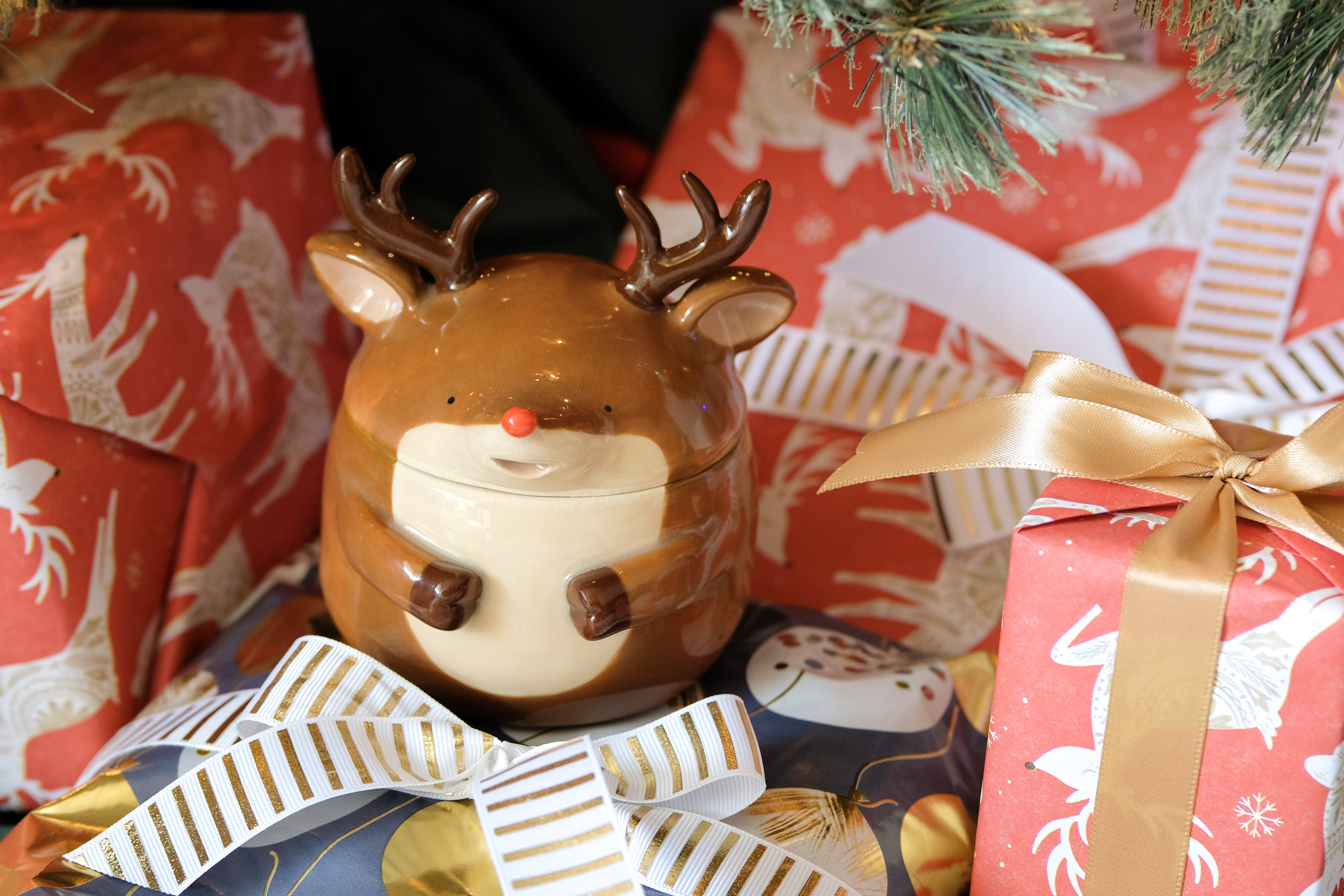 Reindeer with presents