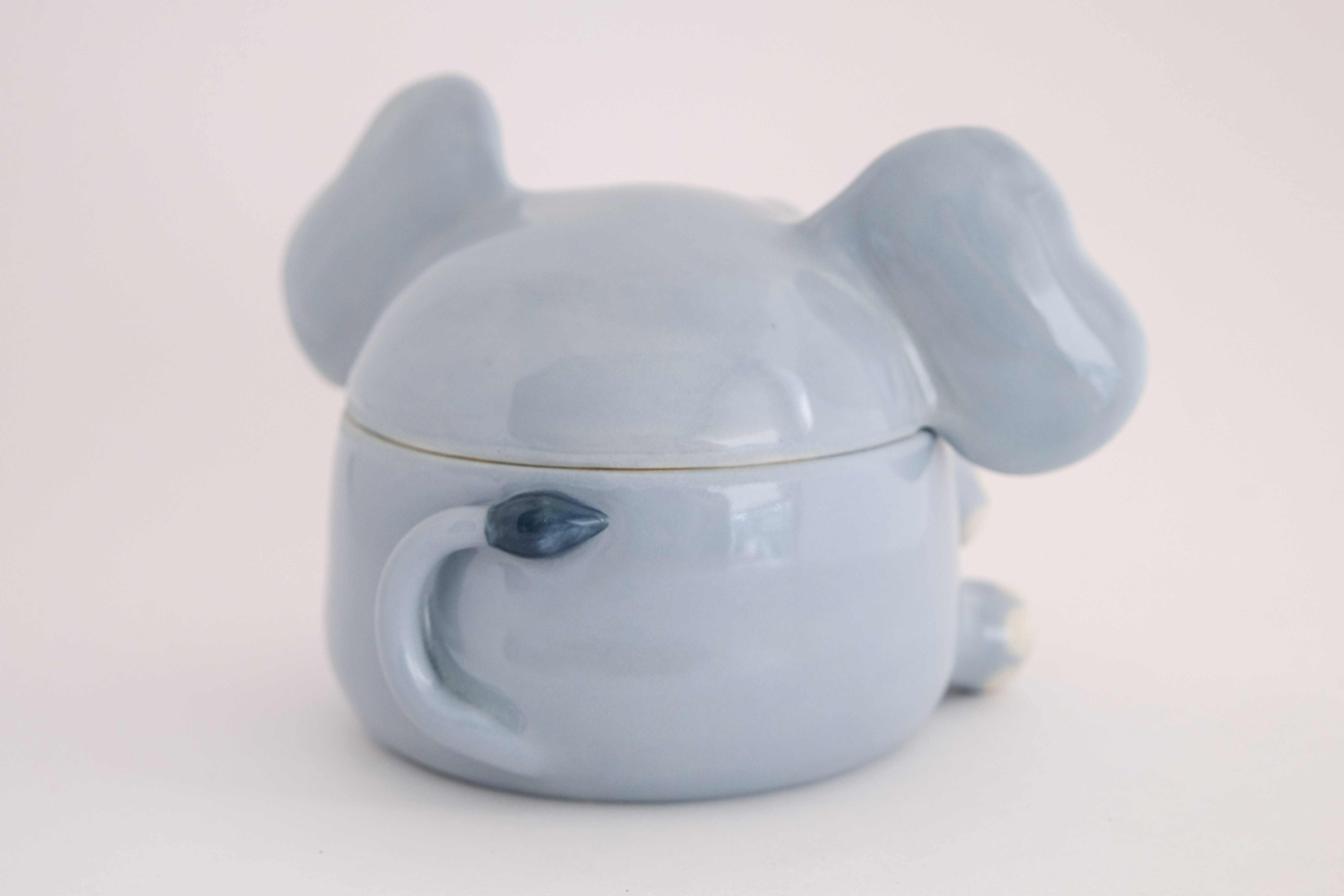 Elephant back