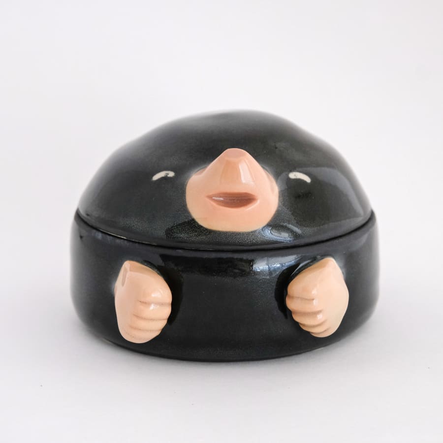Mole