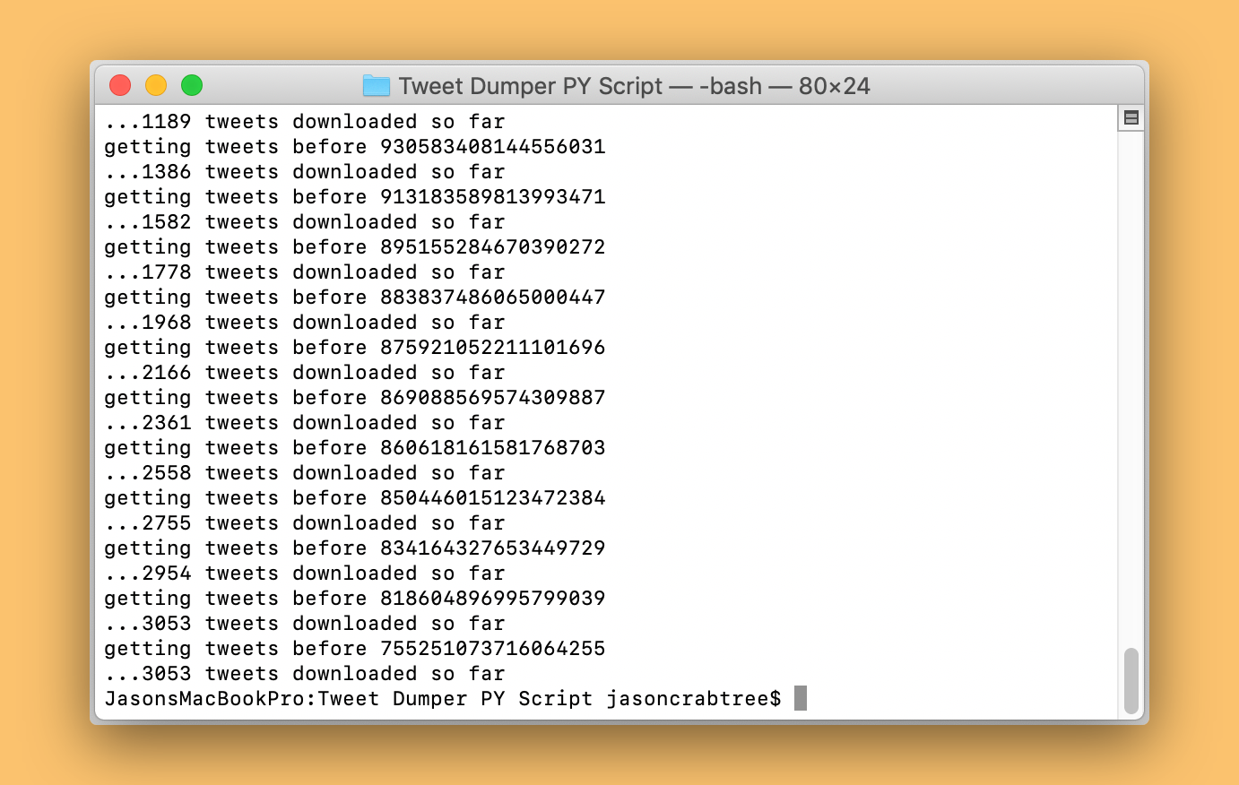 A terminal window showing 3053 tweets downloaded