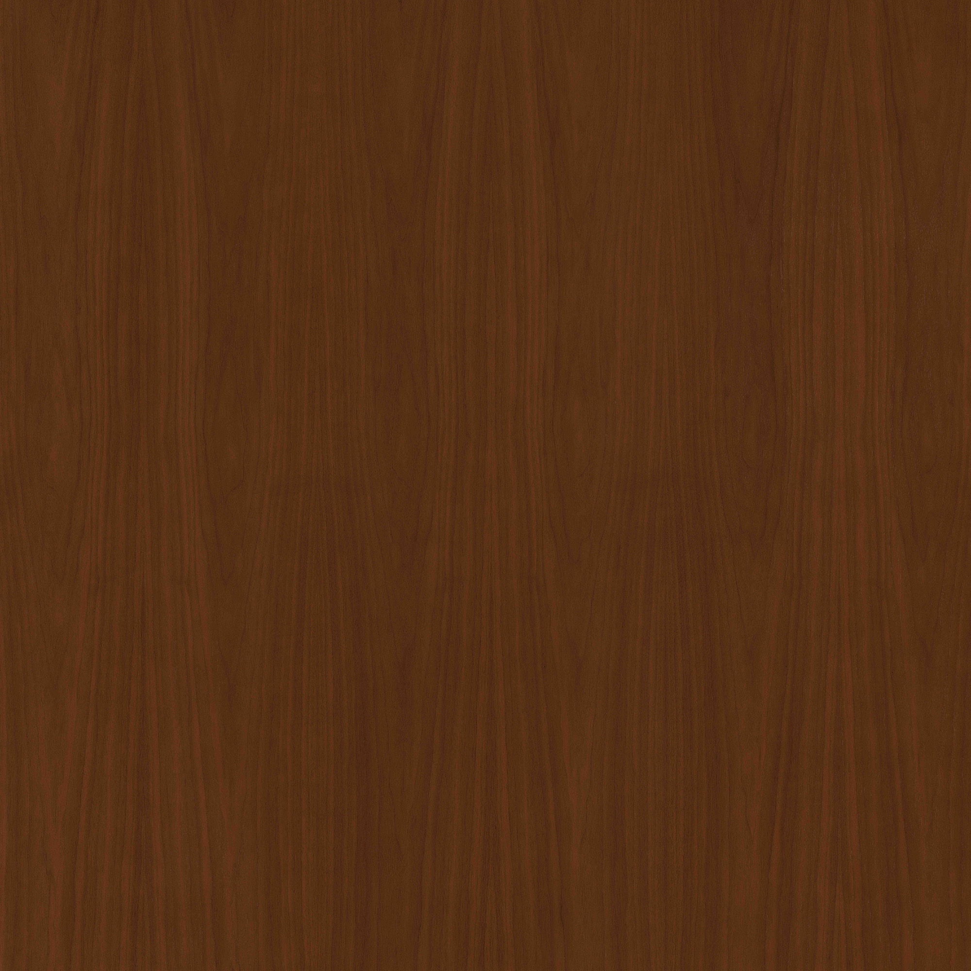 Mocha | Material