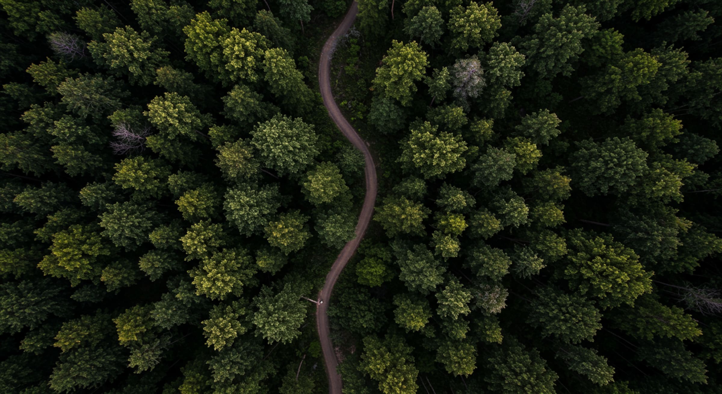 376a0d6c87db23315ee9b08a7e07b32792157820