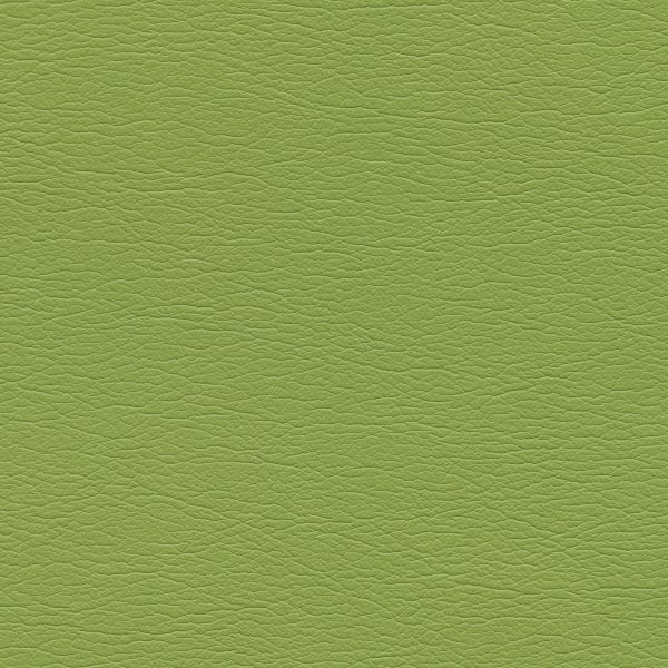 Ultraleather - Parrot