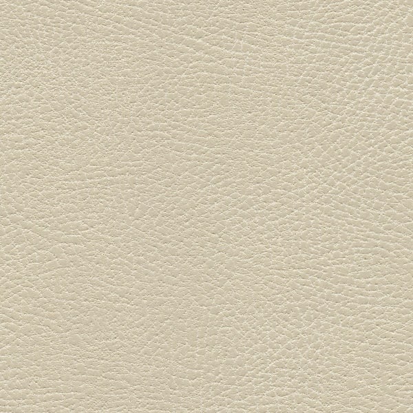 Brisa Distressed - Navajo Ivory