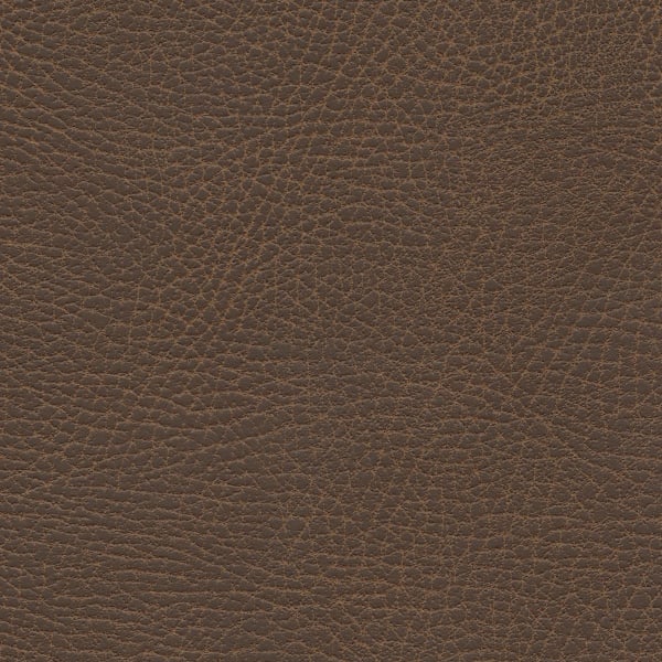 Brisa Distressed - Bridle