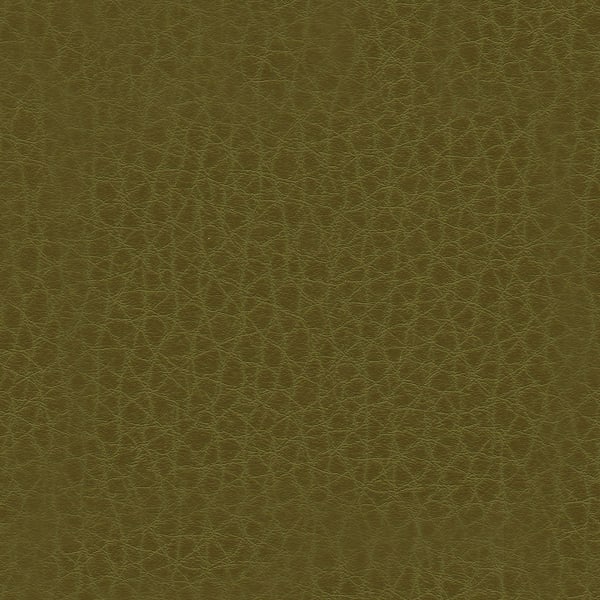 Impasto - Snickerdoodle