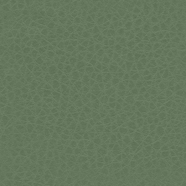 Impasto - Avocado