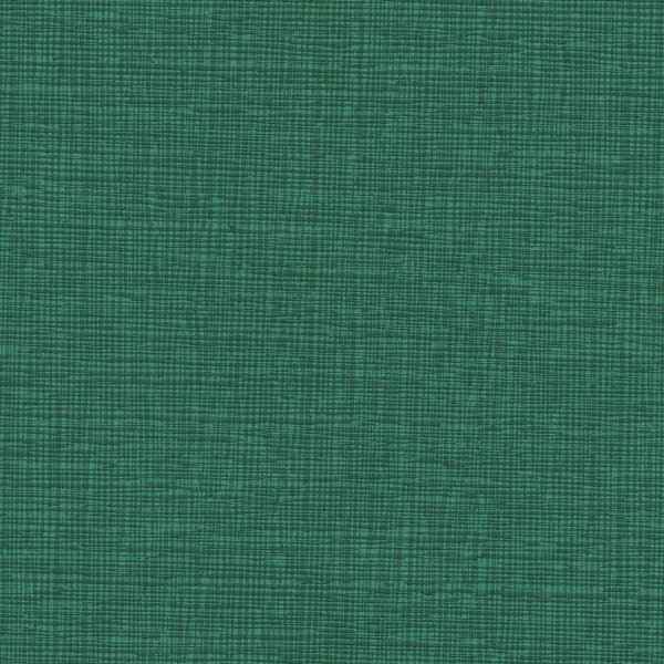 Lino - Pinenut