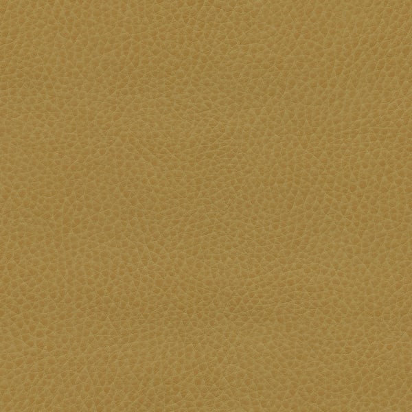 Montage - Wax
