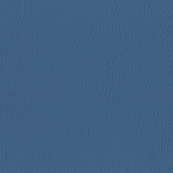 Modena - Bluebird