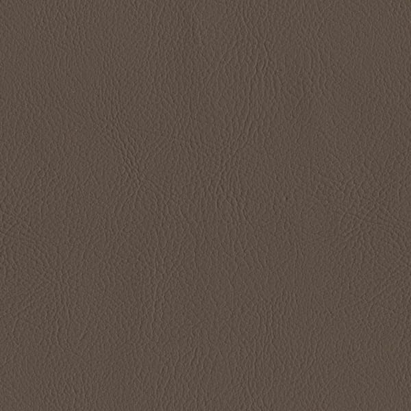 Modena - Cocoa