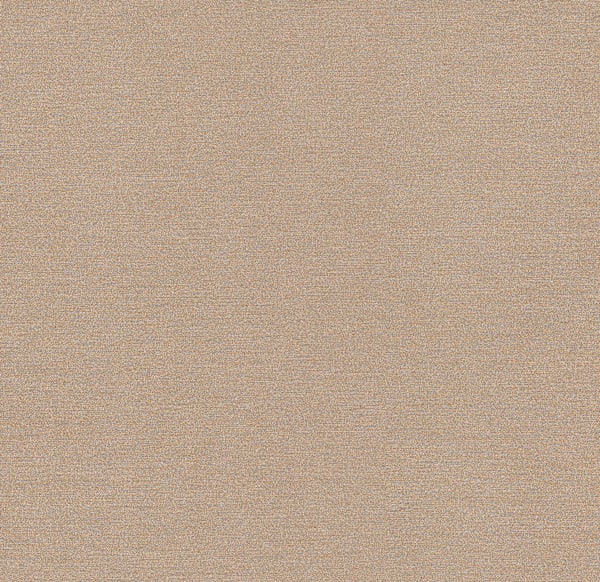 Nishiki 2.0 - Sesame