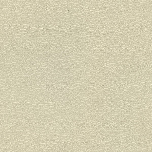 Promessa - Parchment