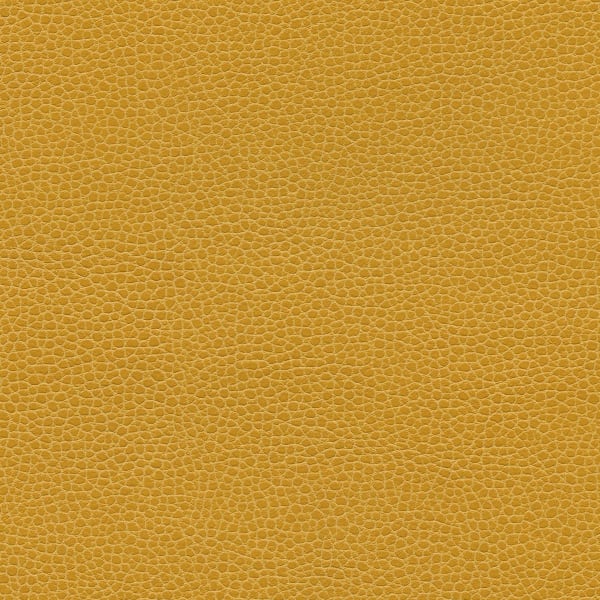 Promessa - Sun Shower