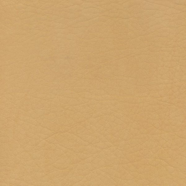 Whisper Neo Plus - Camel