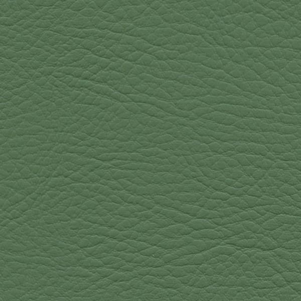 Whisper Neo Plus - Herbal