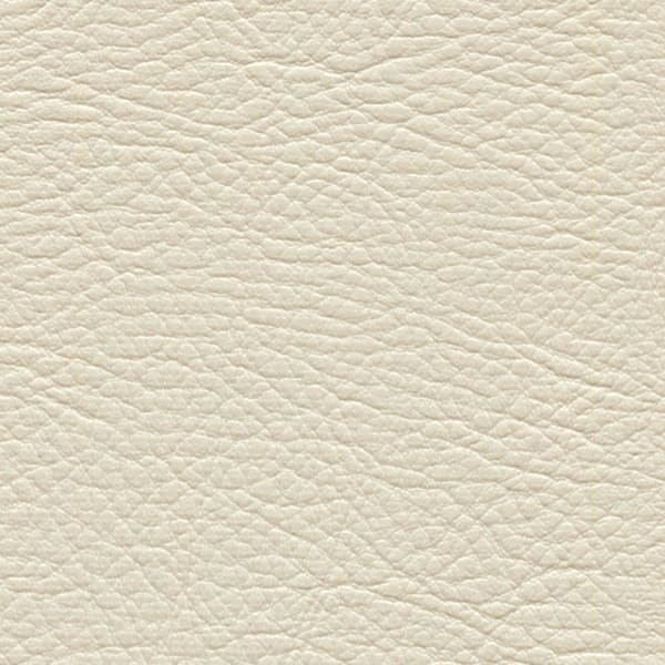 Whisper Neo Plus - Powder