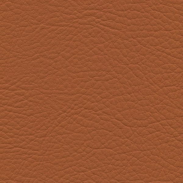 Whisper Neo Plus - Saddle