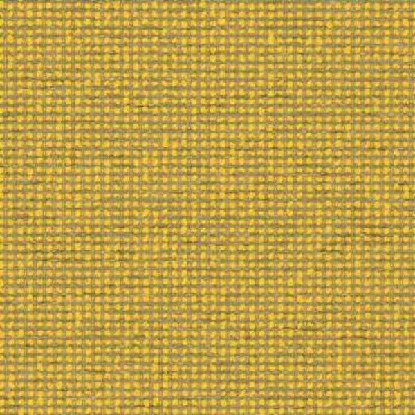 Form - Canary