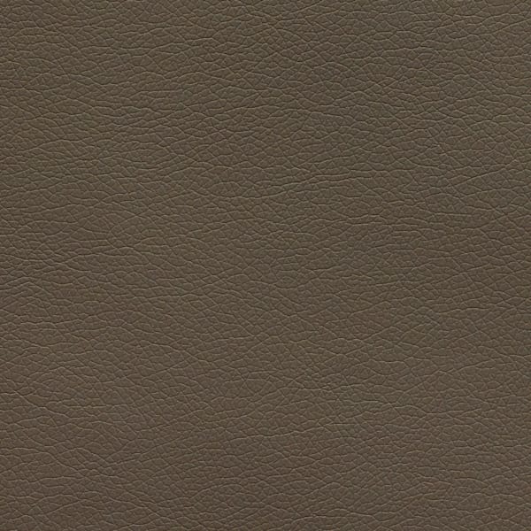 Canter EPU - Graphite