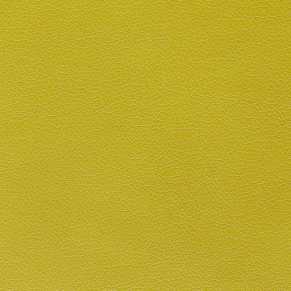 Canter EPU - Kiwi Green