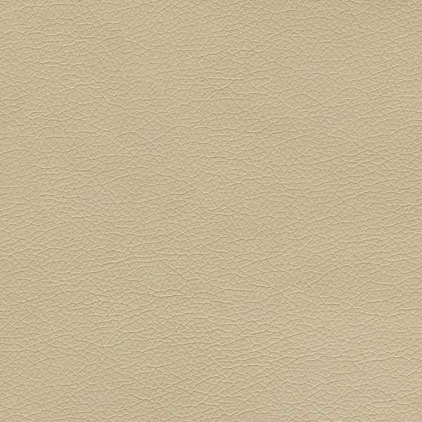 Canter EPU - Sand Dollar