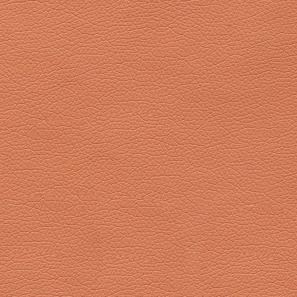 Canter EPU - Wood Rose