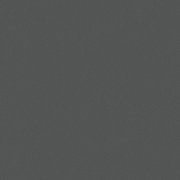 Carson CV - Graphite