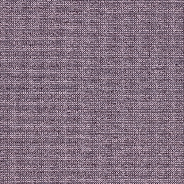 Keeper CV - Larkspur