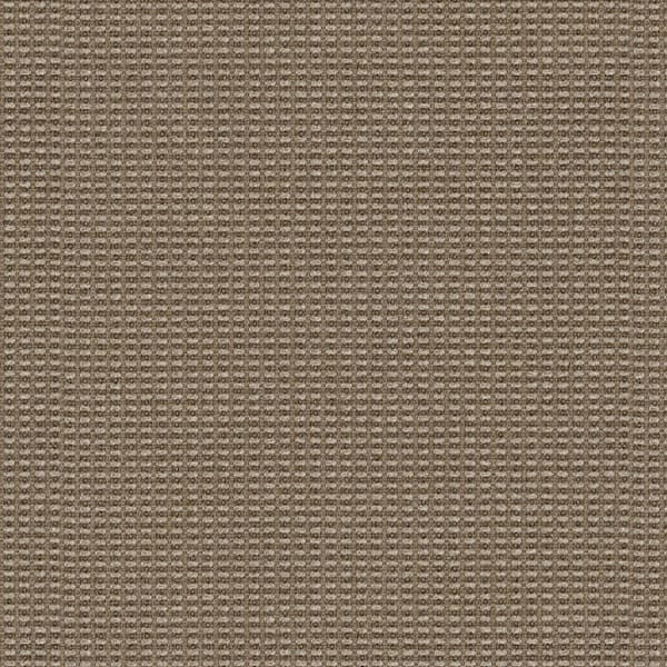 Millennium C-Zero - Safari