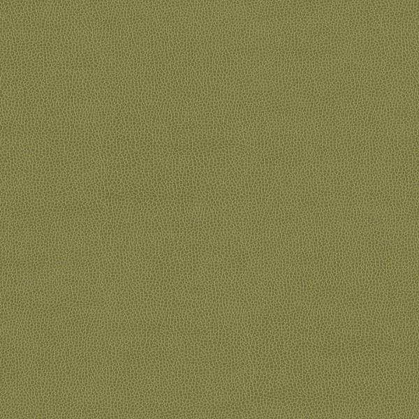 Silica Leather - Aloe