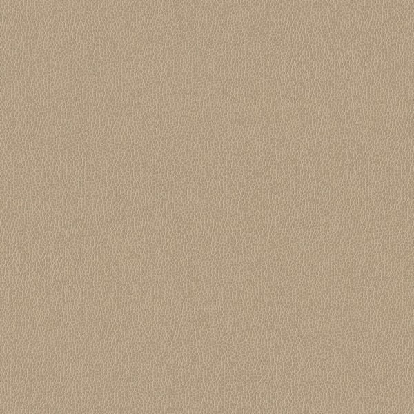 Silica Leather - Barley