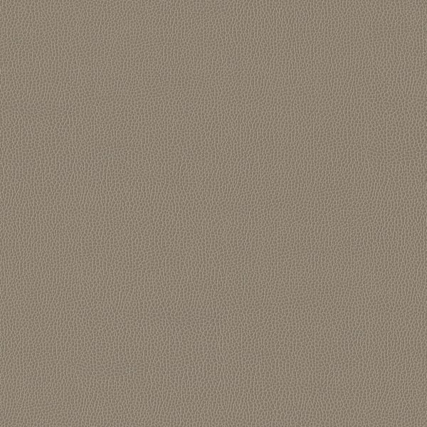 Silica Leather - Lichen