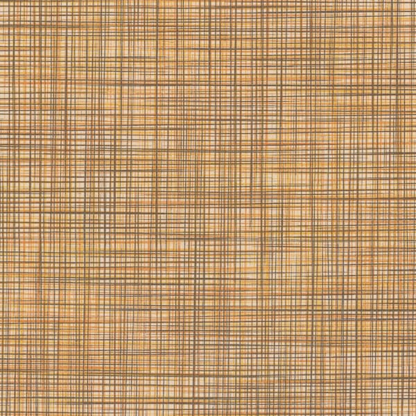 Speakeasy CV - Amber