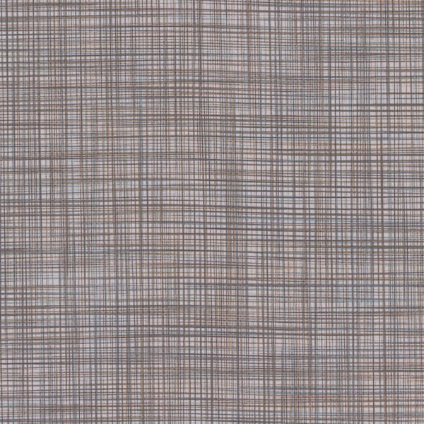 Speakeasy CV - Earth