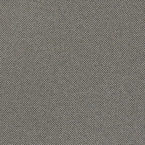 Tribeca CV - Griffin