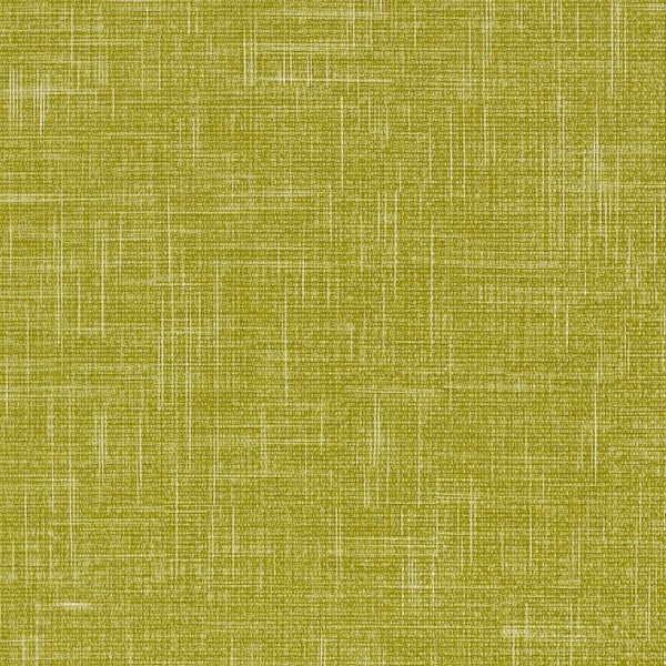 Vanguard CV - Sprout