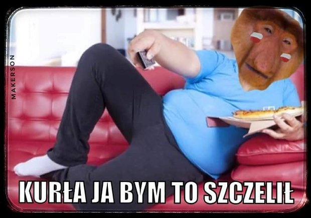 kurła.png