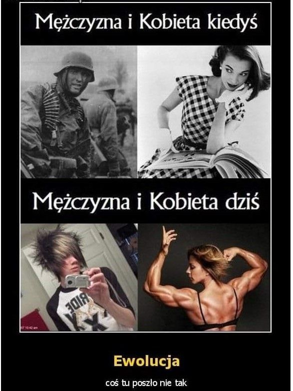 1730013825979.jpg