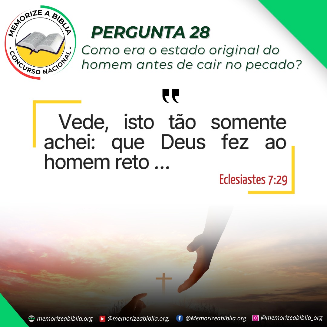 Cartaz 28