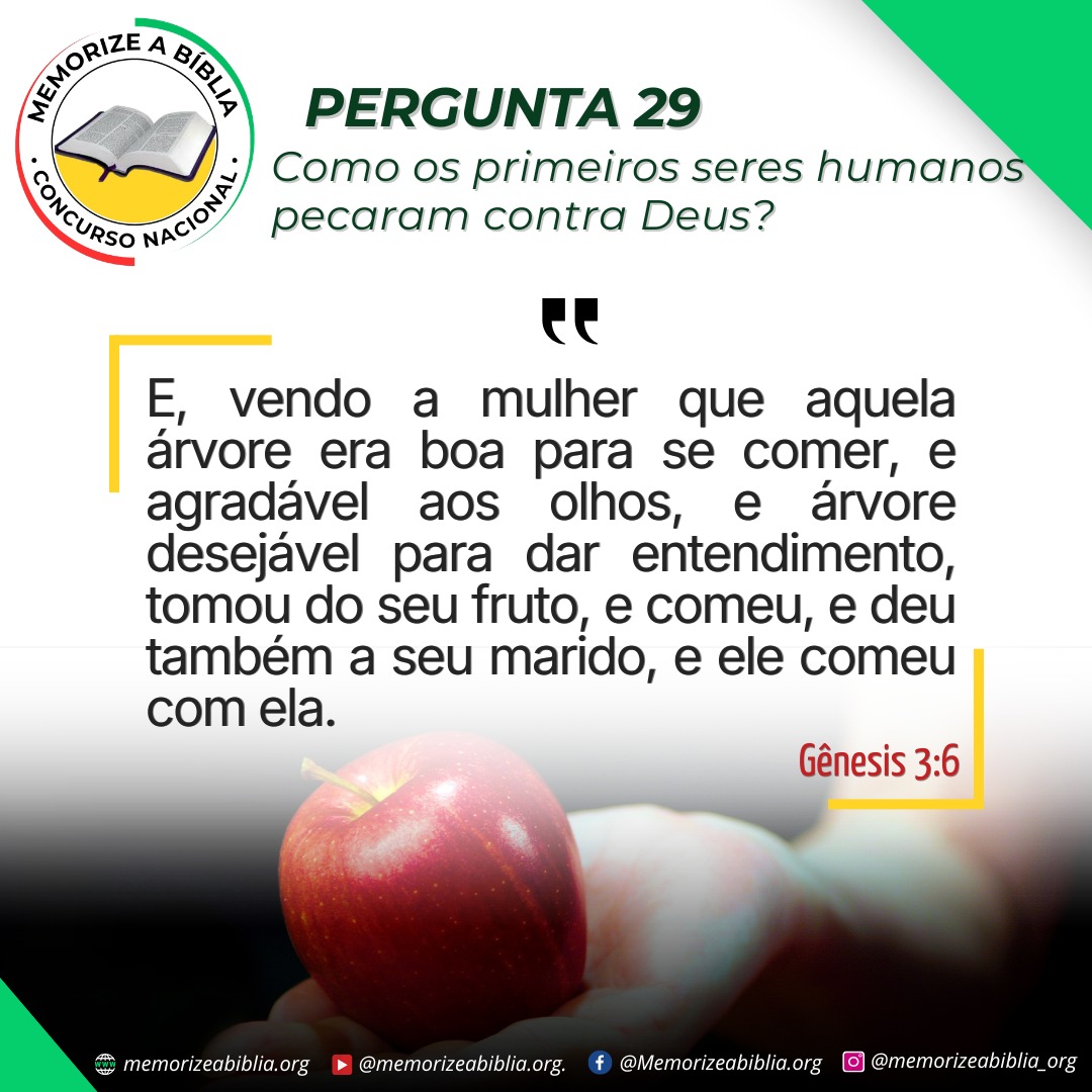 Cartaz 29